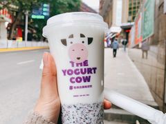 原味酸奶紫米露-一只酸奶牛(八一路店)