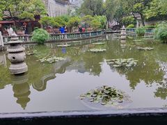 -碧江金楼