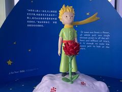 -上海浦东国际机场-T2航站楼