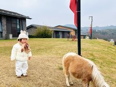 -天目湖涵田度假村