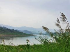 -金海湾滨江公园