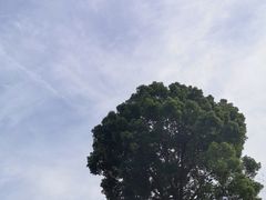 -龙坞茶村