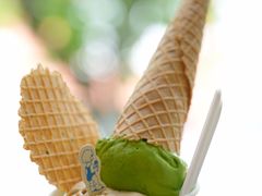 -海比甜店·意式手工冰激淋happy habit gelato