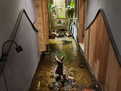 -邈墨茶馆(凤起路店)