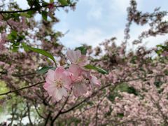 -四川大学(望江校区)