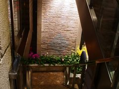 -英子补身汤(海兰路店)