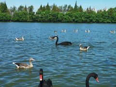 -艾溪湖湿地公园