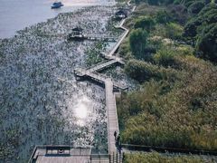 -莲花岛景区