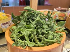 -龍歌自助小火锅(市南金茂湾店)