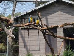 -合肥野生动物园