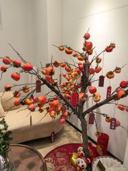 -skin79皮肤管理中心