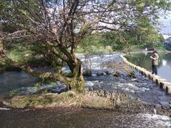 android_upload_pic-彩虹桥