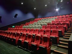 -万达影城(闵行颛桥万达广场杜比影院店)