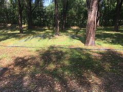 -朝阳公园游乐园