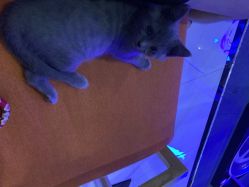 -BBVR团建聚会体验馆·亲子DIY手工