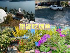 -望湖烤鱼