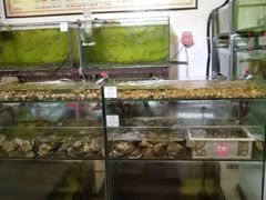 -兴旺海鲜砂煲王