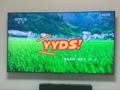 -苏宁易购(Suning Plus无锡胜利门聚丰园店)