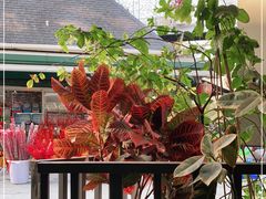 -The Flowers Coffee(南山店)
