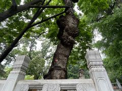 -潭柘寺景区