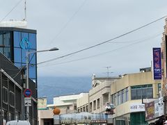 -西归浦每天偶来市场