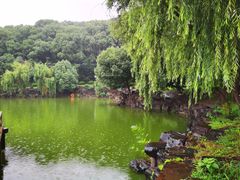 -灵岩山风景区