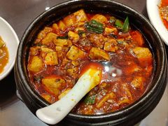 -陈麻婆豆腐总店