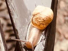 -永和大王(茉莉上新·星塘街店)