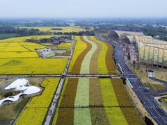 -中国天府农业博览园