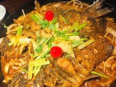 -老板恋上鱼(高新万达店)