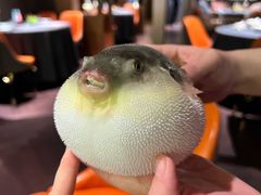 -肆月河豚·淮扬菜·湘菜(华天店)