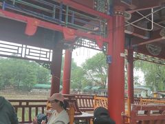 -尚庄度假村·庭台树下·户外烧烤·团建CS·轰趴营地(上庄水库店)