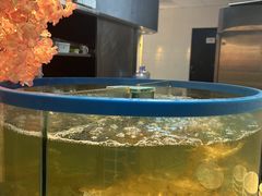 -汉来海港·海鲜自助餐厅(上海七宝领展广场店)
