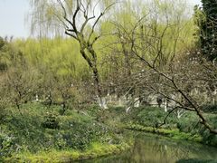 -柳浪闻莺公园