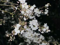 -成都濑川外国语学校