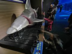 -成都浩海立方海洋公园