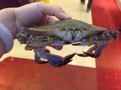 -赶海部落海鲜城(海阳路店)