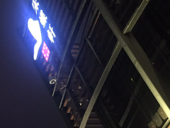 门面-采蝶轩(和义路店)