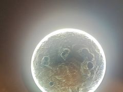 -为民烧烤吧.自贡爆炒菜(收录10年好店)