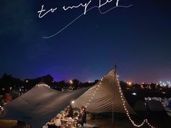 -春花秋色城市公园