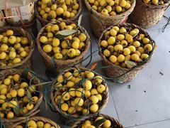 -临水阁农家乐饭店