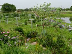 -中国天府农业博览园