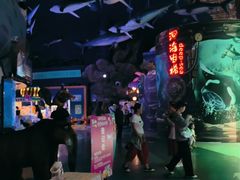 -烟台海昌鲸鲨海洋公园