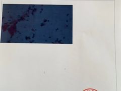 -哆趣宠物医院·眼科·内镜·急重症转诊中心(上海店)