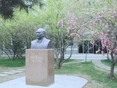 -北京师范大学附属中学