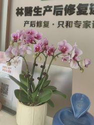 -Dr.林醫生产后修复·配方产康店(南京大厂店)