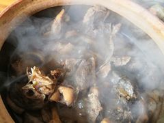 -霞姐屯昌枫木香草鸭店(海螺店)