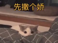 -宠颐生·恒爱宠物医院(静海店)