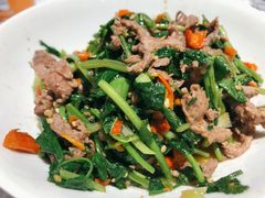 -壹盏灯(惠农店)