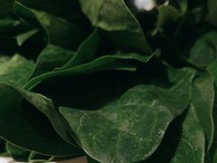 -蜀留香火锅(社会山店)